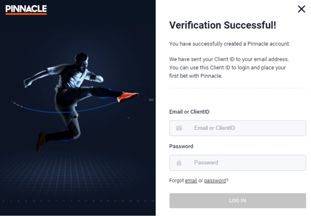 Верификация в Пиннакл